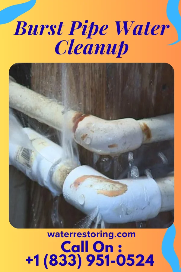 Burst Pipe Water Cleanup in Little Falls, ME
