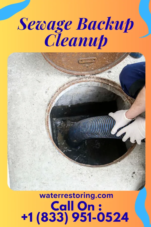 Sewage Backup Cleanup in Little Falls, ME